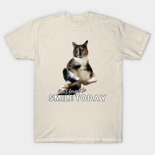 Snickers The Cat - Don't Forget to Smile Today T-Shirt